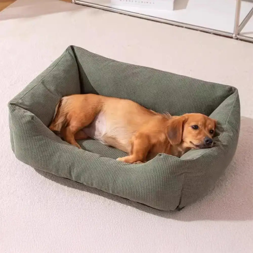 Lit pour chien confortable en velours côtelé détachable résistant aux rayures et respirant