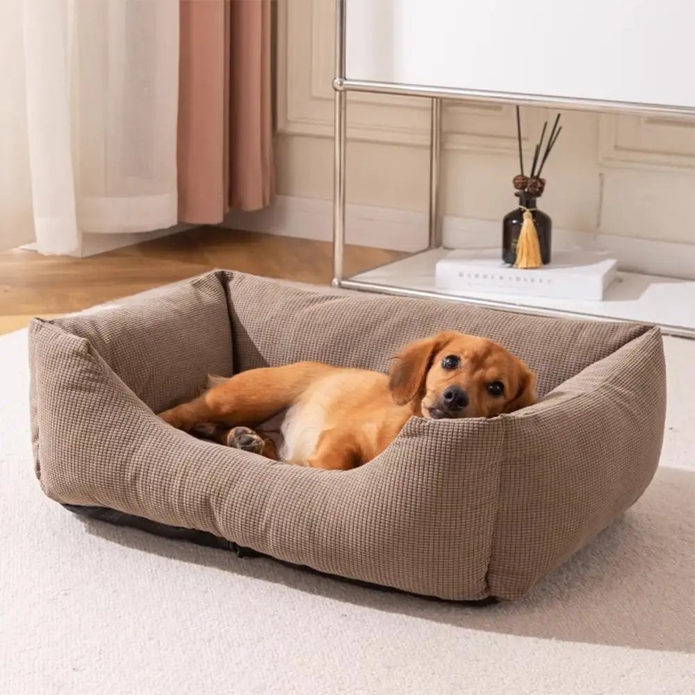 Lit pour chien confortable en velours côtelé détachable résistant aux rayures et respirant