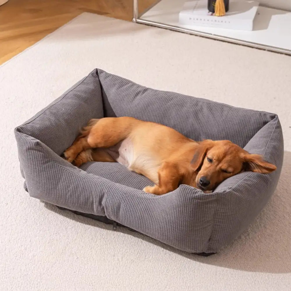 Lit pour chien confortable en velours côtelé détachable résistant aux rayures et respirant