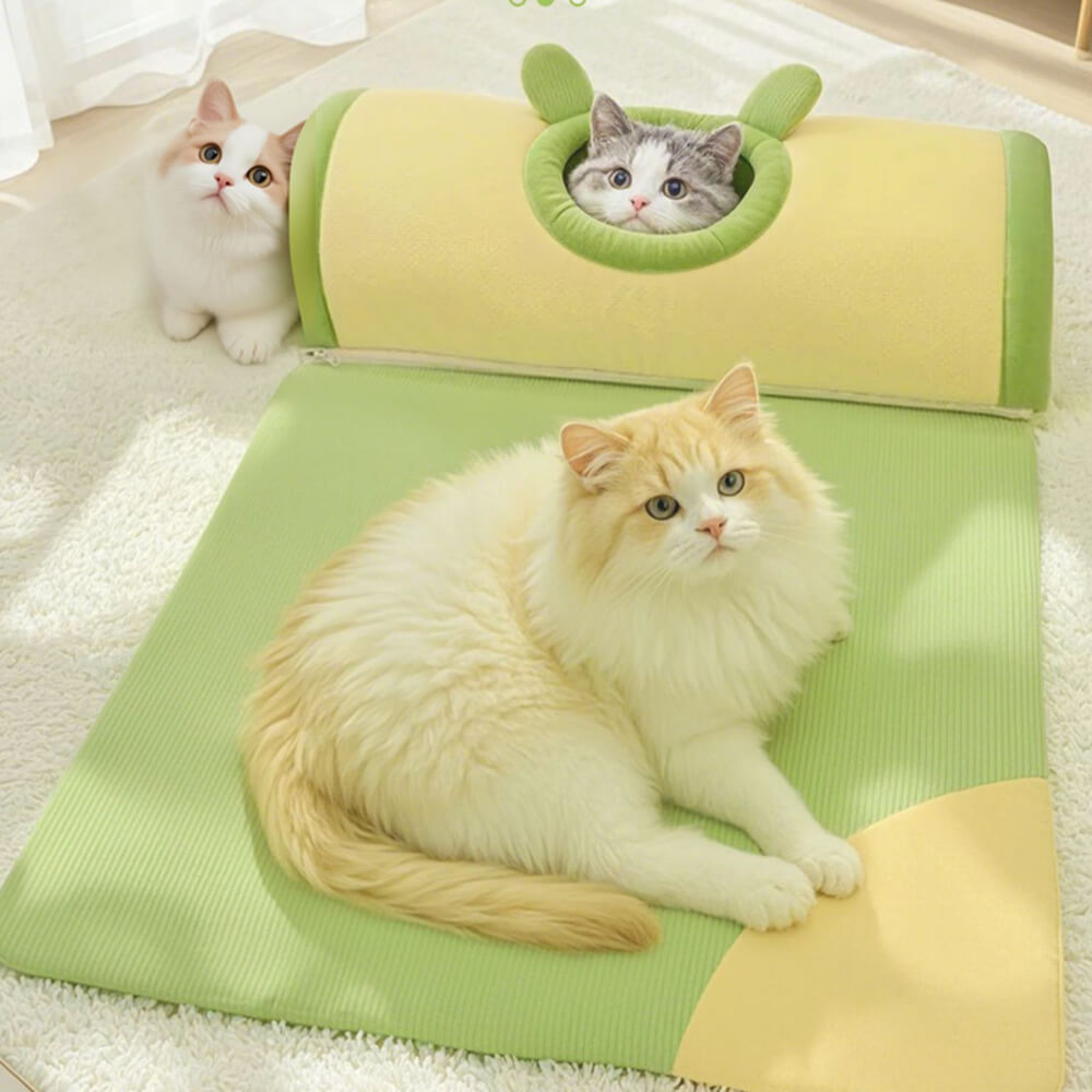 Lit tunnel pour chat spacieux et confortable pour jeu et repos