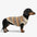 Pull pour chien teckel à rayures en diamant