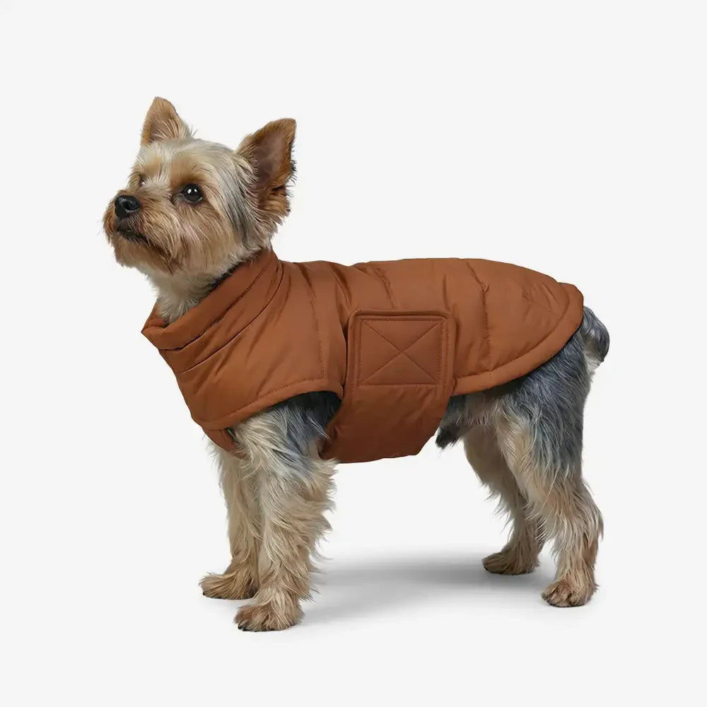 Gilet pour chien en duvet d'oie rempli d'hiver, léger, manteau chaud pour chien avec anneau pour laisse.