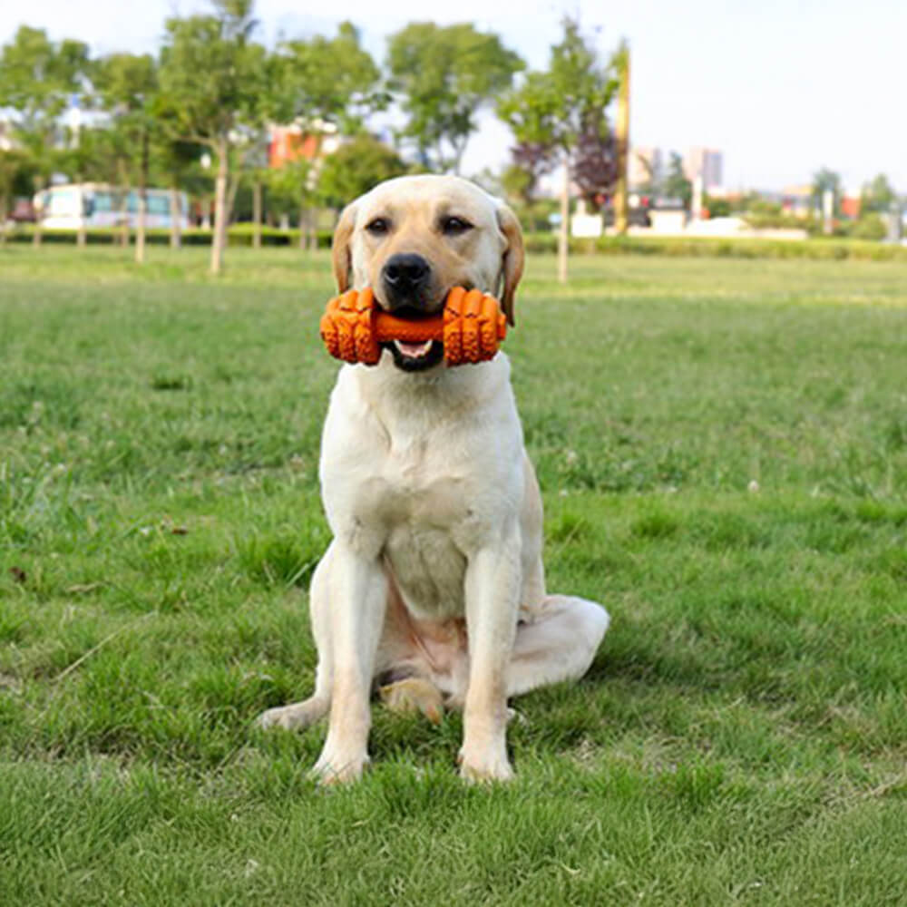 Jouet interactif et durable pour chien avec haltère en silicone et mangeoire lente