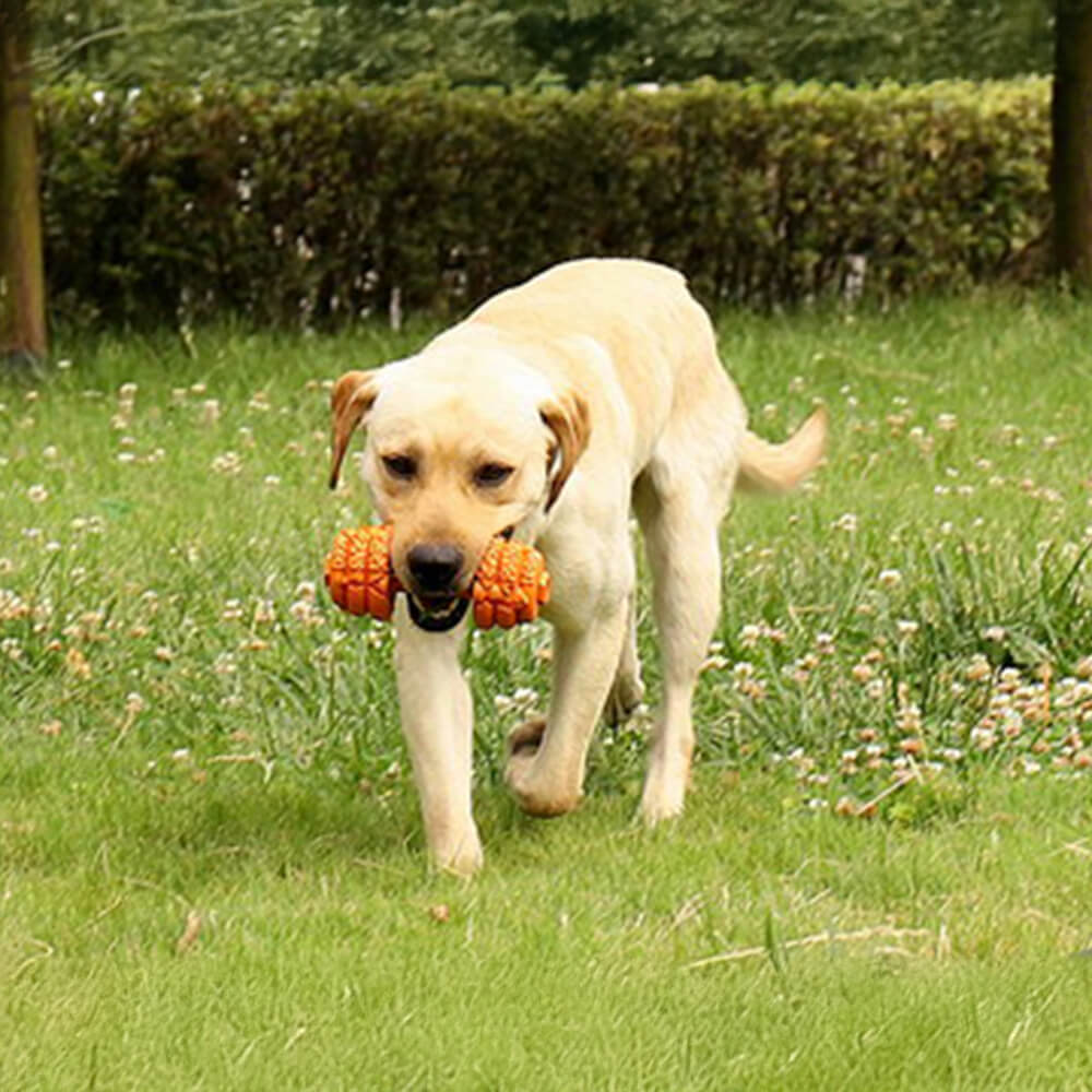 Jouet interactif et durable pour chien avec haltère en silicone et mangeoire lente