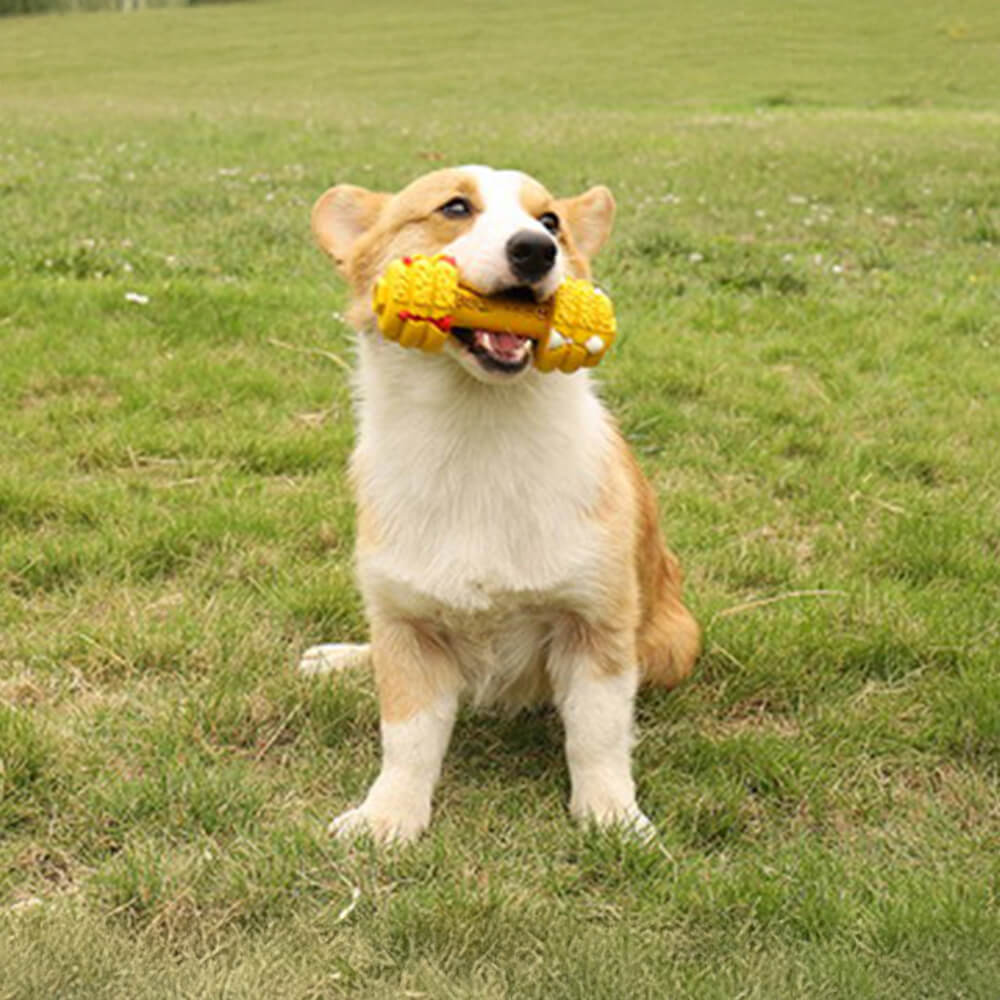 Jouet interactif et durable pour chien avec haltère en silicone et mangeoire lente