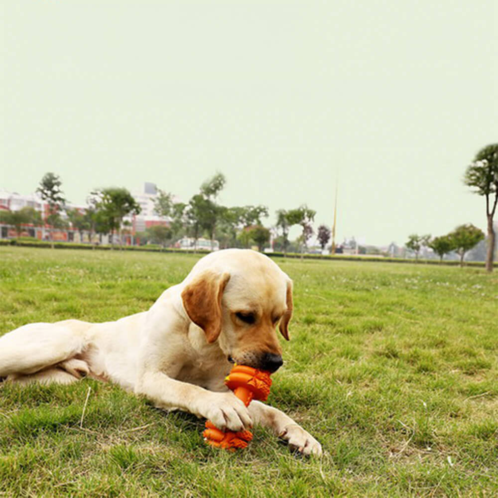 Jouet interactif et durable pour chien avec haltère en silicone et mangeoire lente