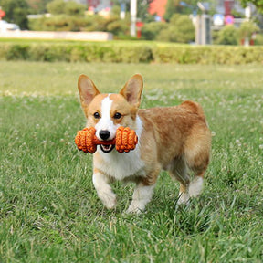 Jouet interactif et durable pour chien avec haltère en silicone et mangeoire lente