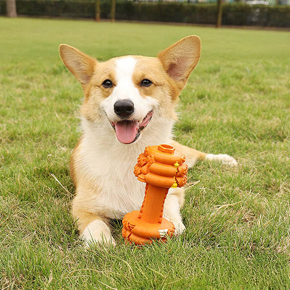 Jouet interactif et durable pour chien avec haltère en silicone et mangeoire lente