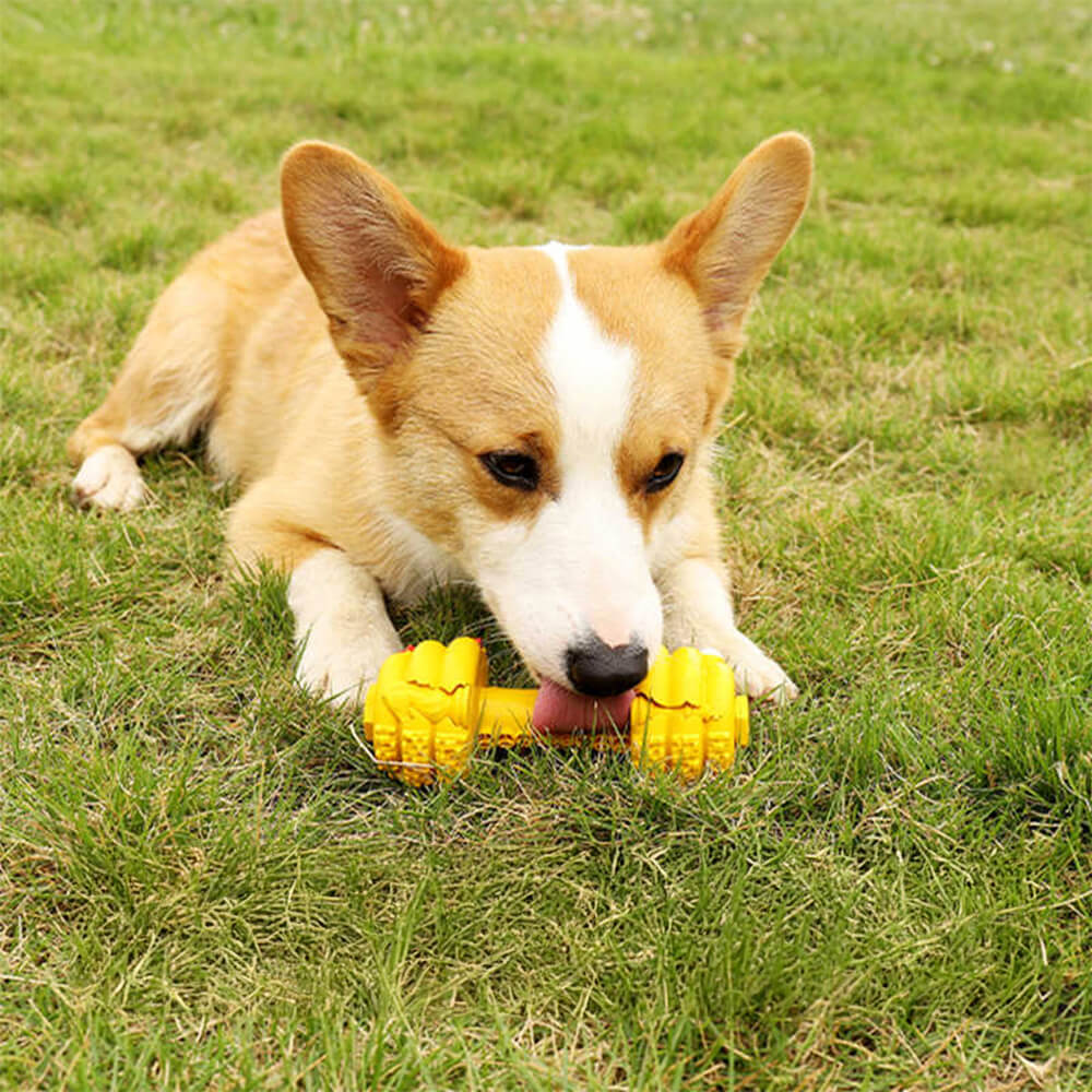 Jouet interactif et durable pour chien avec haltère en silicone et mangeoire lente