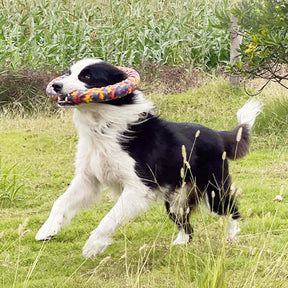 Jouet pour Chien Durable en Corde Résistante à la Morsure Série Flottante Camouflage