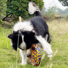 Jouet pour Chien Durable en Corde Résistante à la Morsure Série Flottante Camouflage