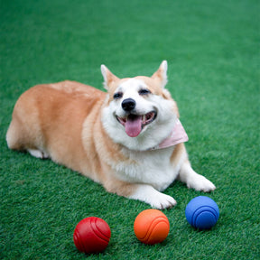 Jouet pour chien balle élastique flottante avec son couineur