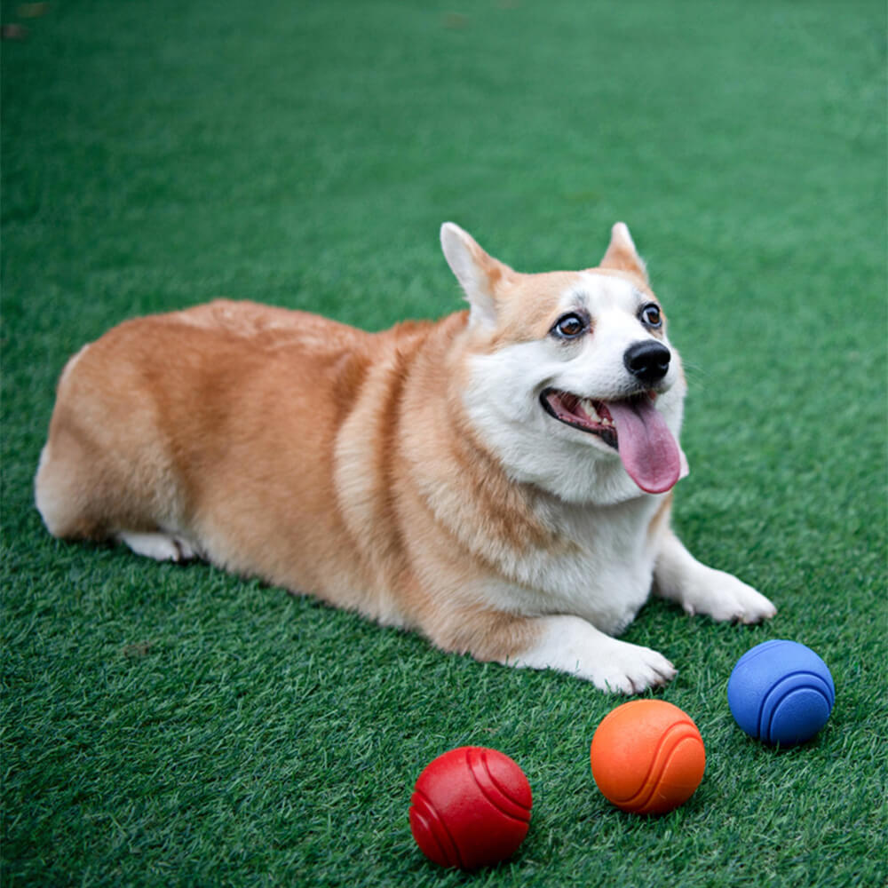 Jouet pour chien balle élastique flottante avec son couineur