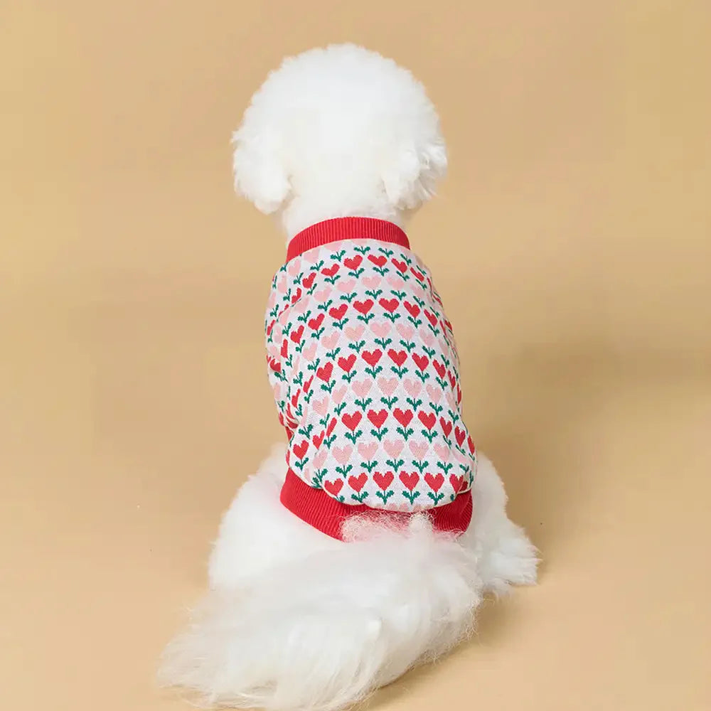Gilet en laine pour chien avec motif de cœur de Fair Isle pour teckel.