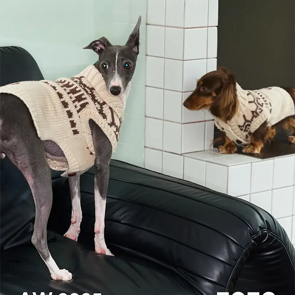 Pull pour chien sans manches en motif Fair Isle pour teckel