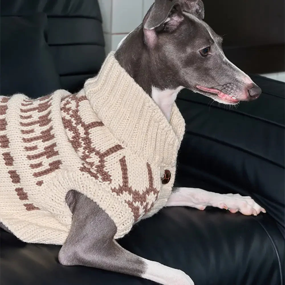 Pull pour chien sans manches en motif Fair Isle pour teckel