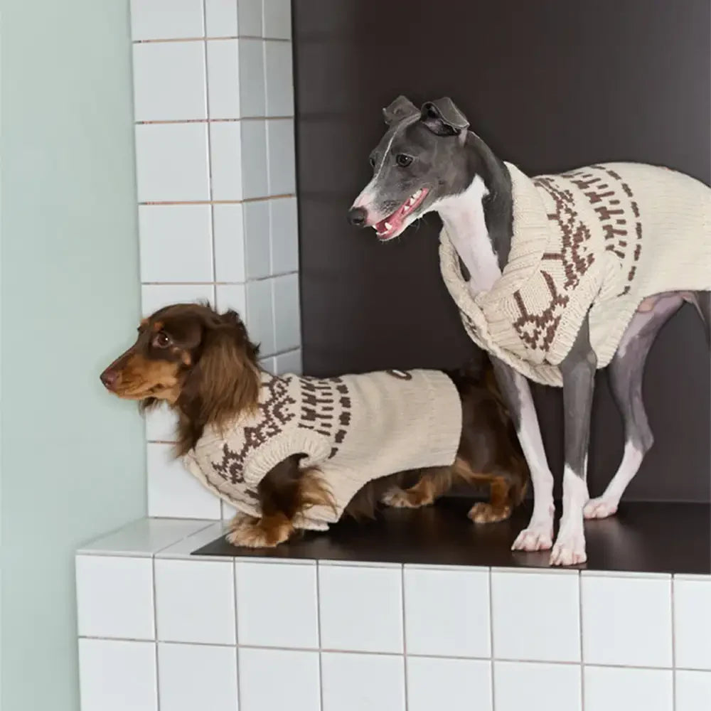 Pull pour chien sans manches en motif Fair Isle pour teckel