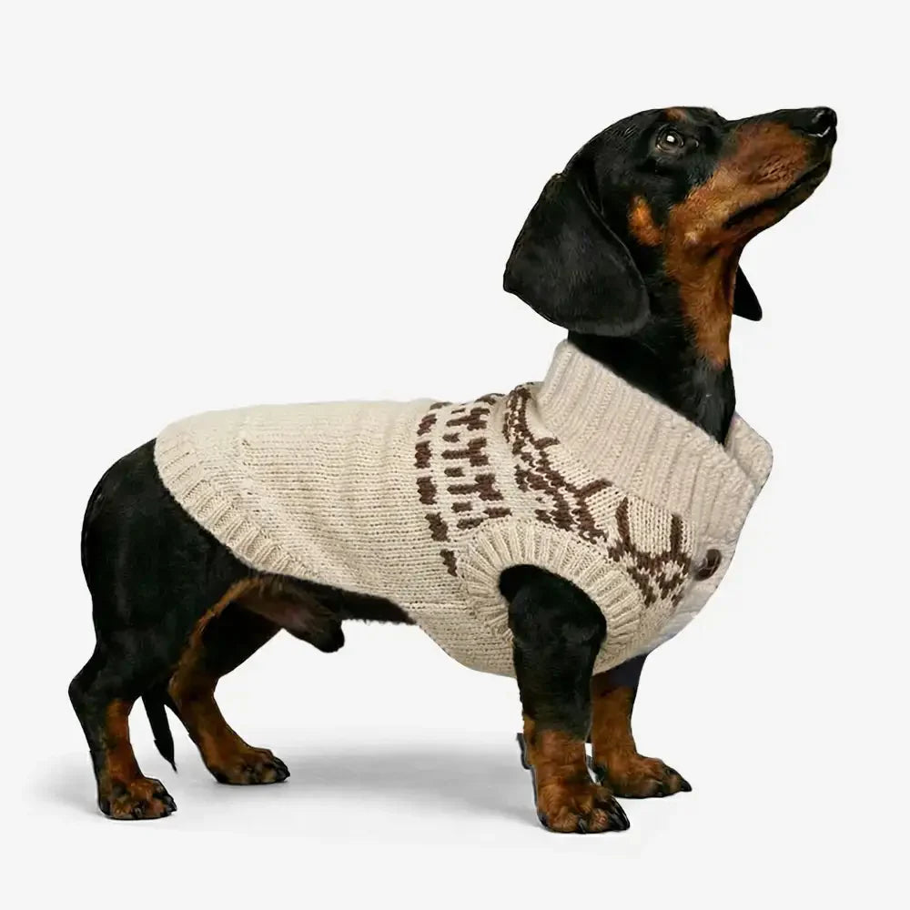 Pull pour chien sans manches en motif Fair Isle pour teckel