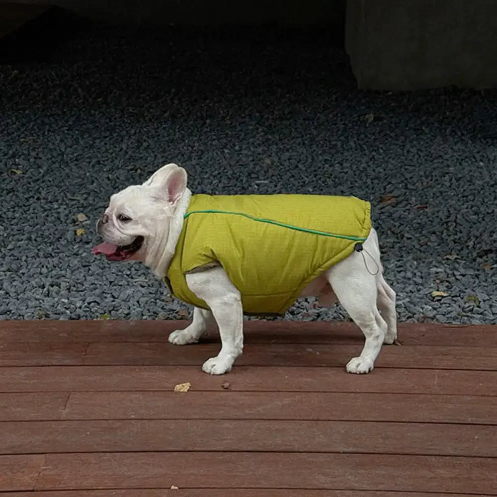 Veste pour chien réversible en padded, épaisse et chaude.