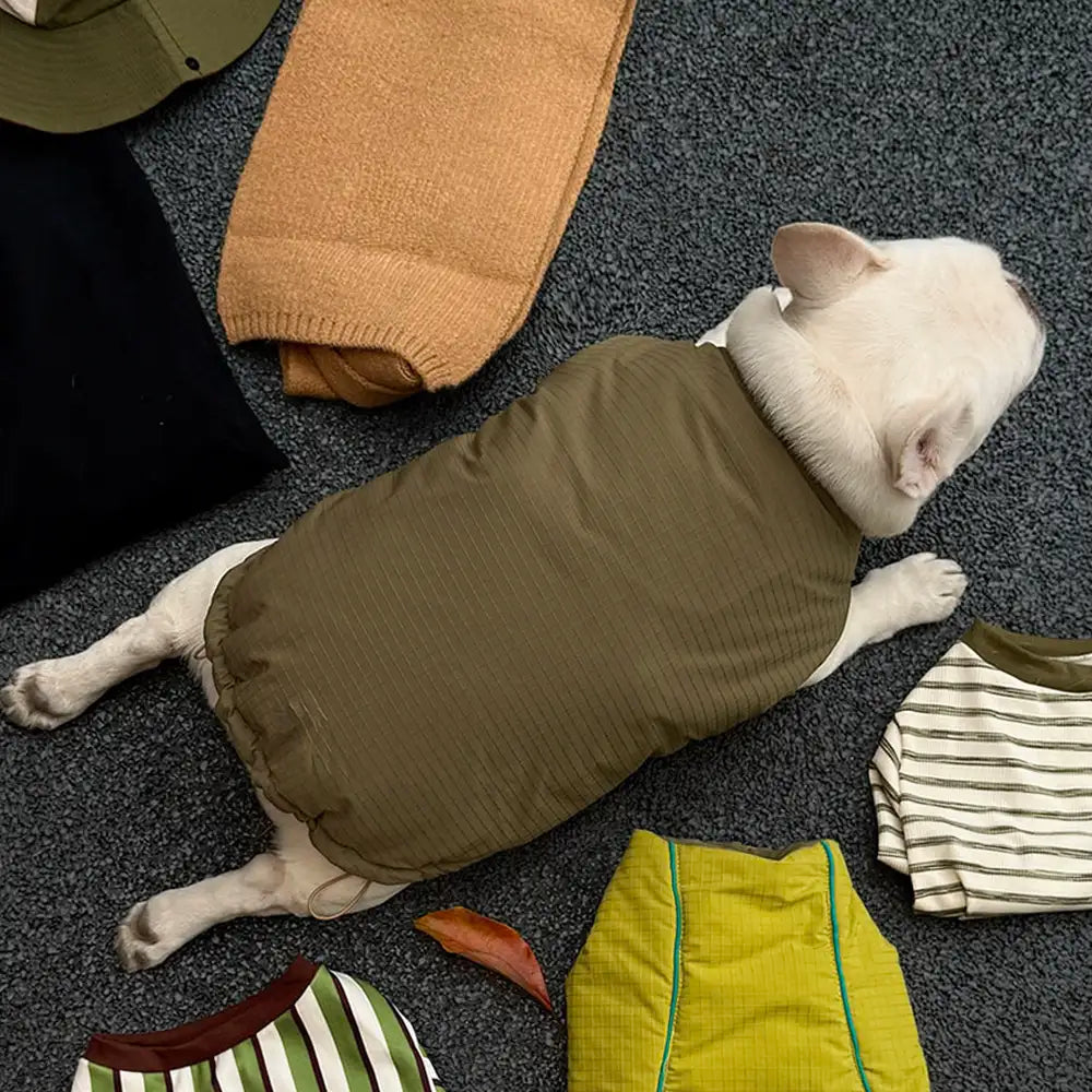 Veste pour chien réversible en padded, épaisse et chaude.