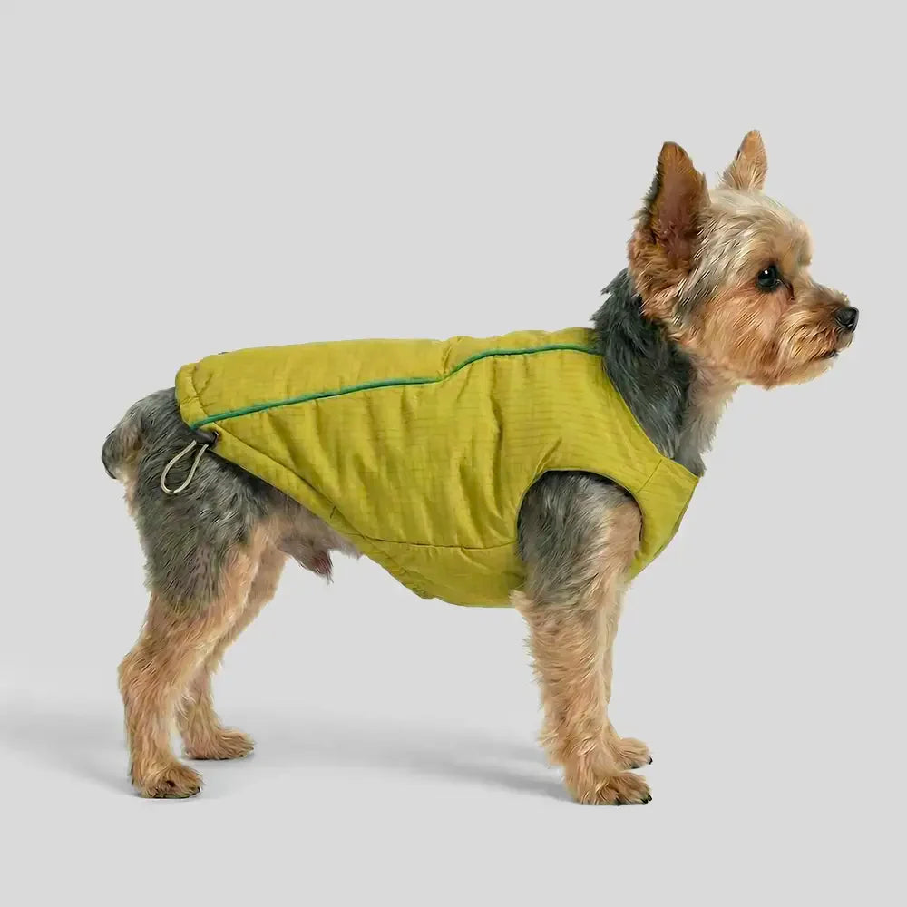 Veste pour chien réversible en padded, épaisse et chaude.