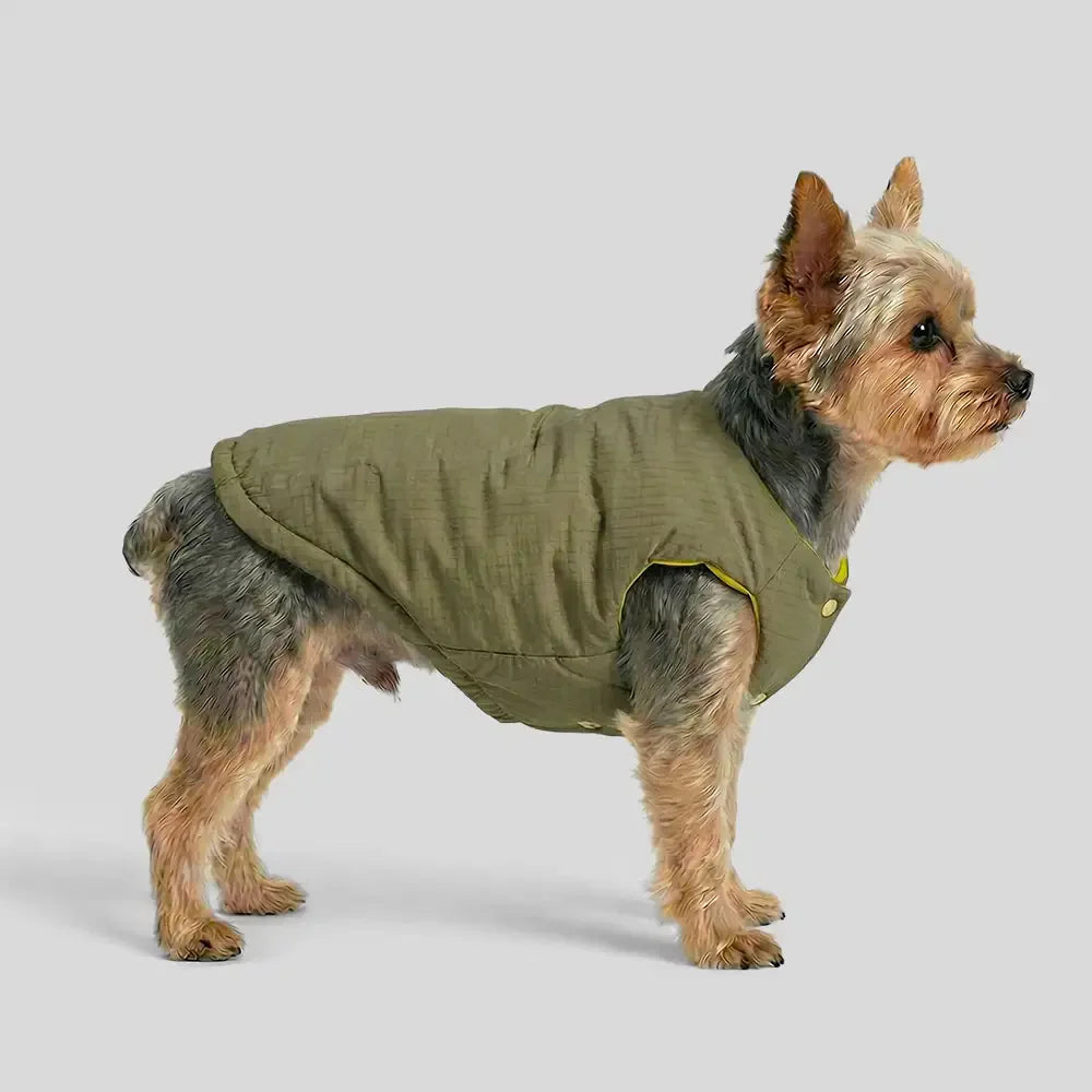 Veste pour chien réversible en padded, épaisse et chaude.