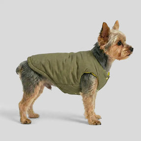 Veste pour chien réversible en padded, épaisse et chaude.