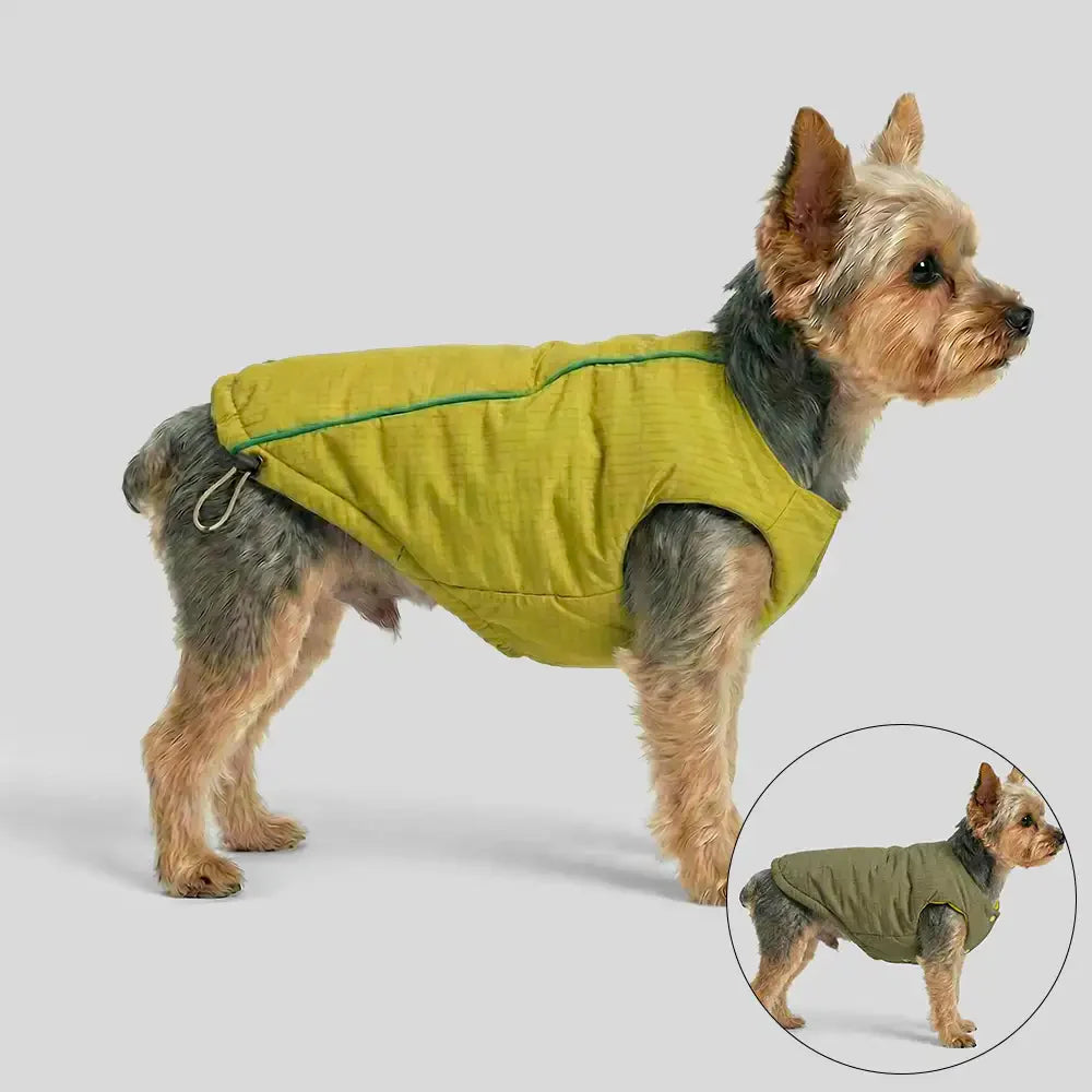 Veste pour chien réversible en padded, épaisse et chaude.