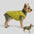 Veste pour chien réversible en padded, épaisse et chaude.