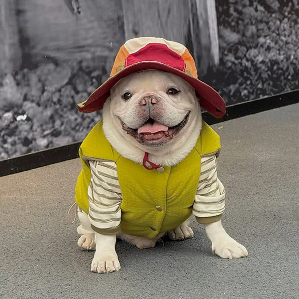 Veste pour chien réversible en padded, épaisse et chaude.