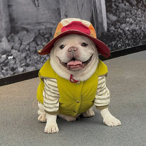 Veste pour chien réversible en padded, épaisse et chaude.
