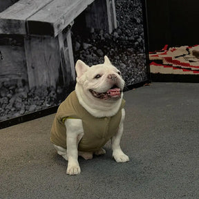 Veste pour chien réversible en padded, épaisse et chaude.