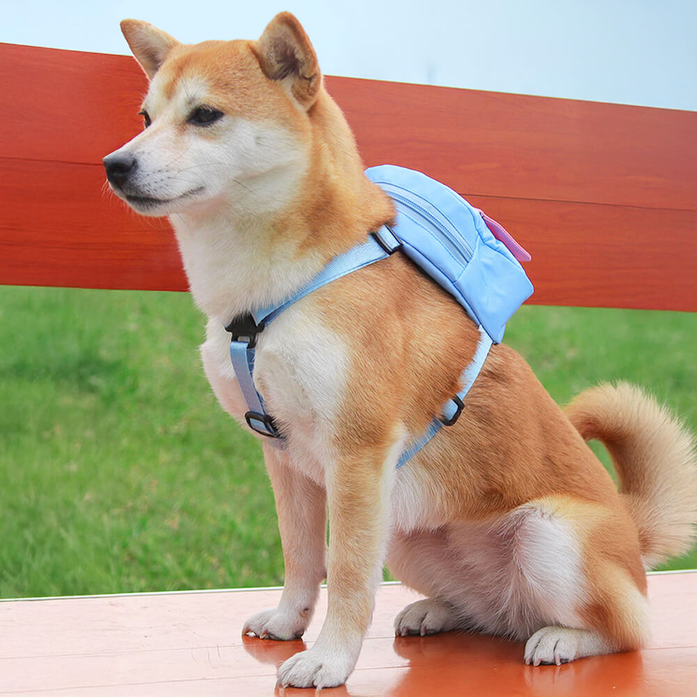 Sac à dos pour animaux de compagnie d'aventure en plein air avec laisse à la mode