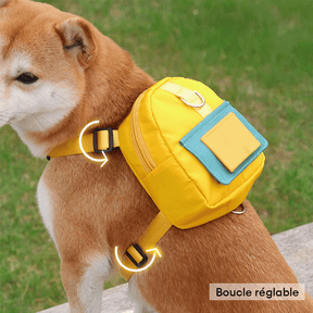 Sac à dos pour animaux de compagnie d'aventure en plein air avec laisse à la mode