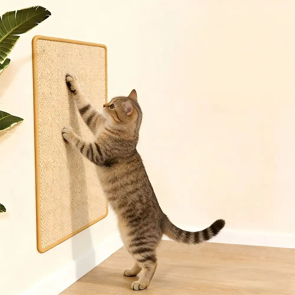 Tapis grattoir pour chat en faux sisal, protection de canapé avec bande Velcro