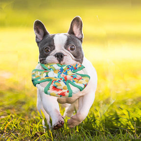 Jouet à Mordre Résistant en Toile avec Imprimé Floral et Sifflet pour Chien