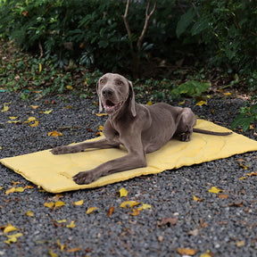 Tapis de voiture pliable étanche et portable pour chien tapis de camping pour chien