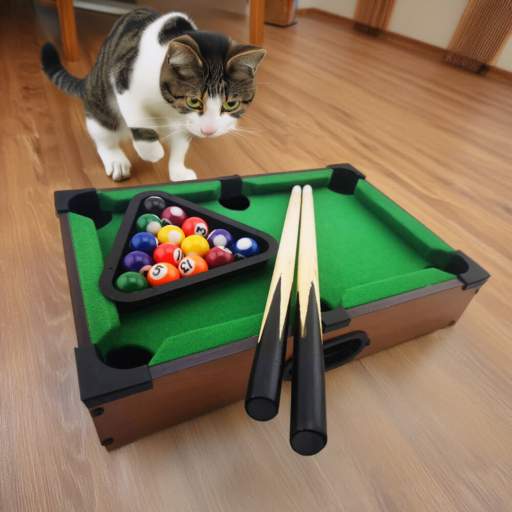 Jeu de Billard Interactif pour Table de Jeu Amusant