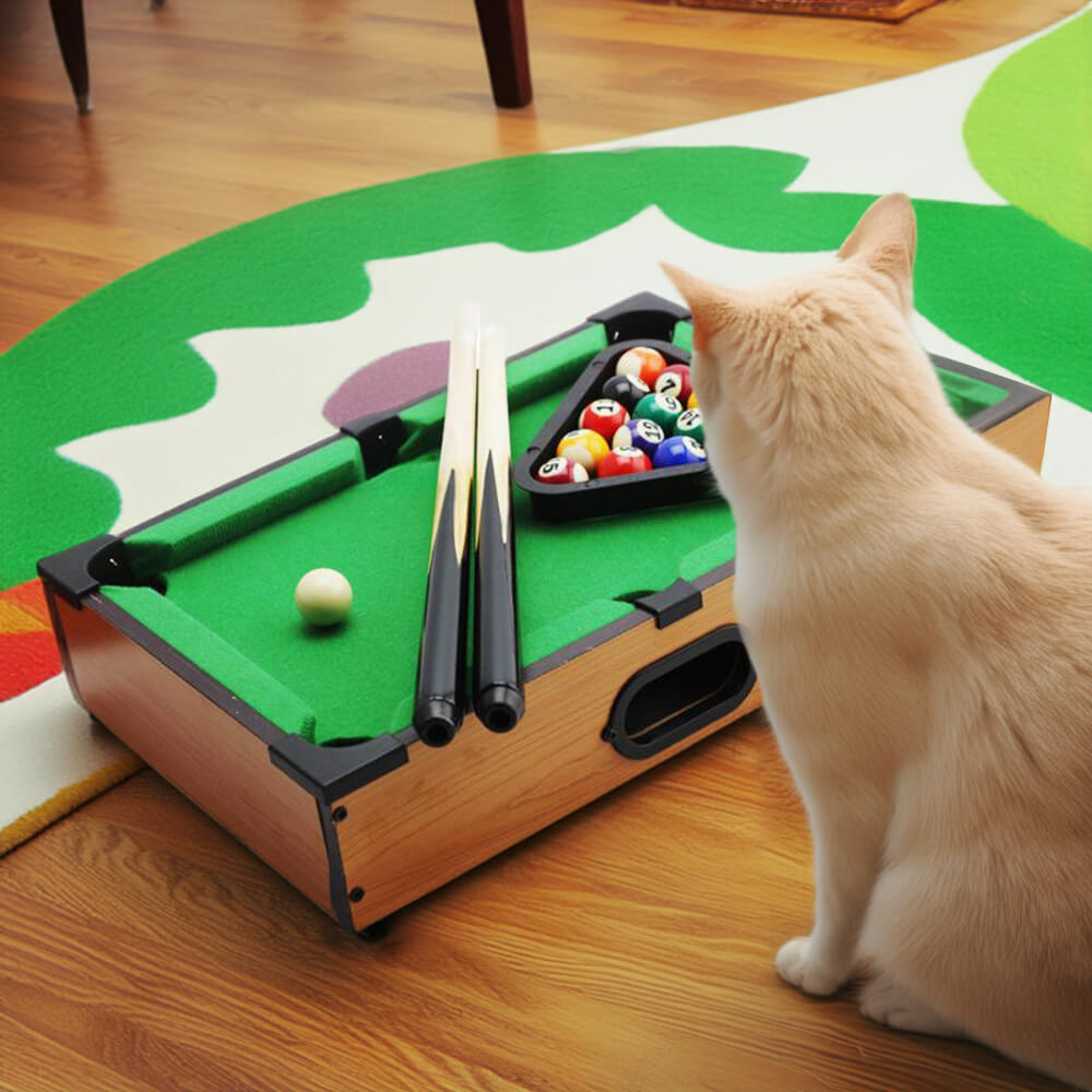 Jeu de Billard Interactif pour Table de Jeu Amusant