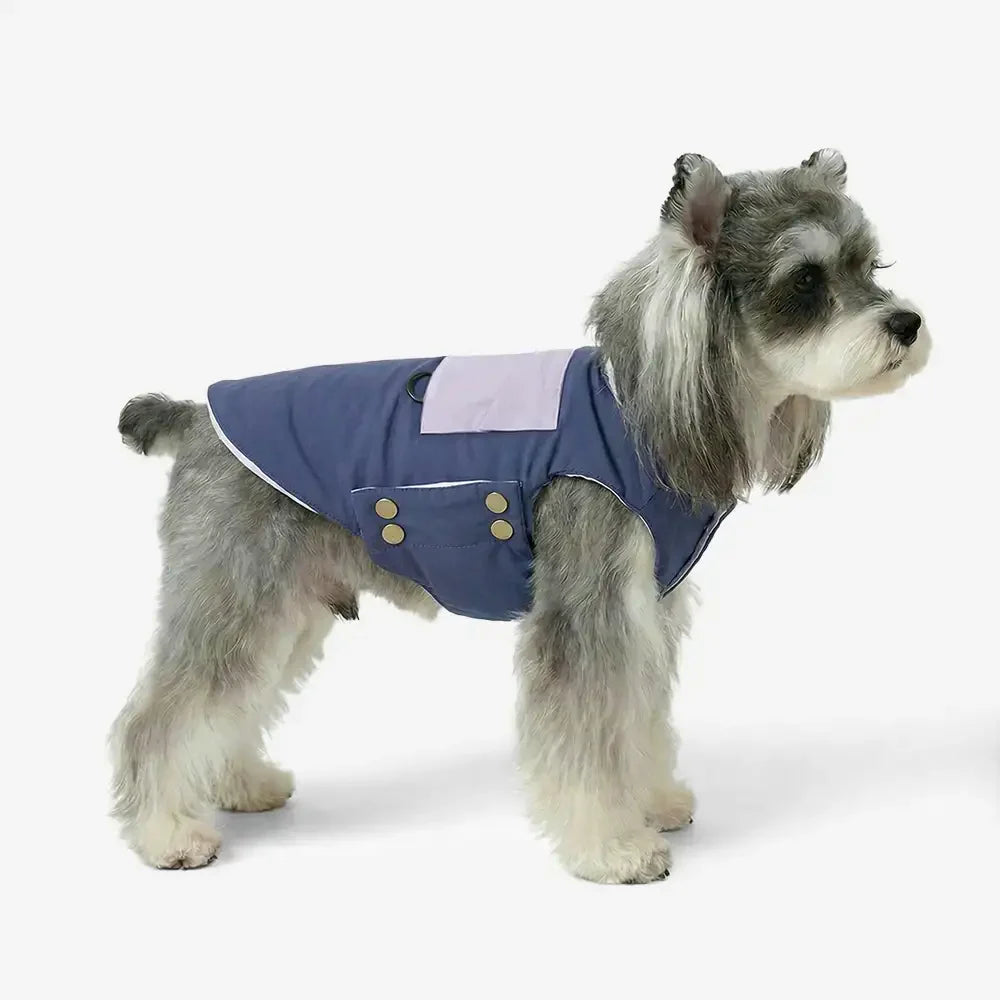 Gilet de chien réversible à deux faces avec bloc de couleur fonctionnel