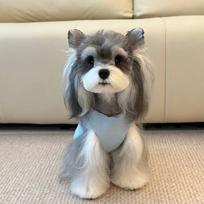 Gilet de chien réversible à deux faces avec bloc de couleur fonctionnel