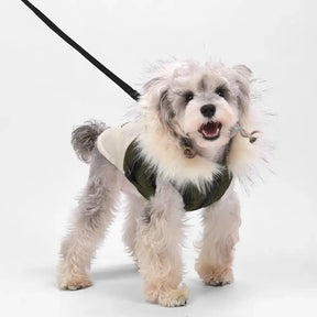 Manteau chaud pour chien avec capuche en fourrure et boucle pour laisse