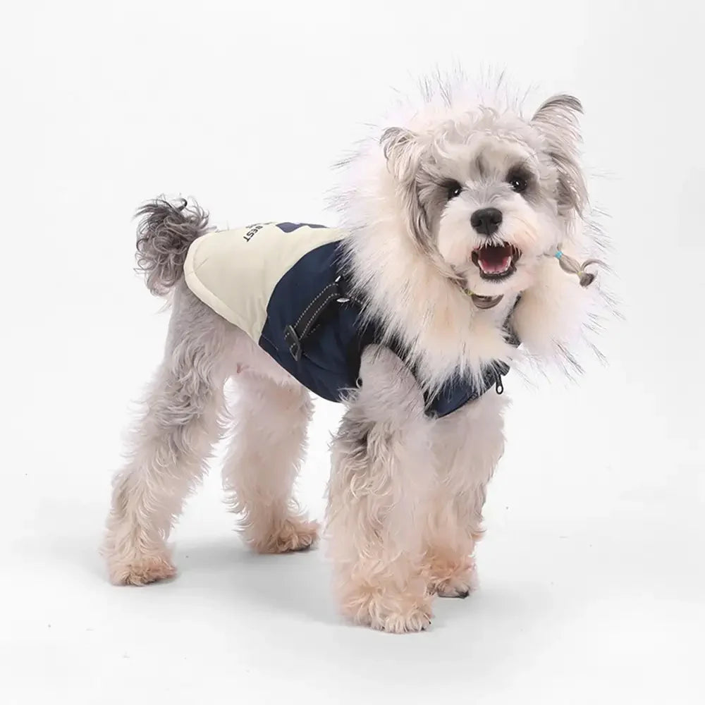 Manteau chaud pour chien avec capuche en fourrure et boucle pour laisse