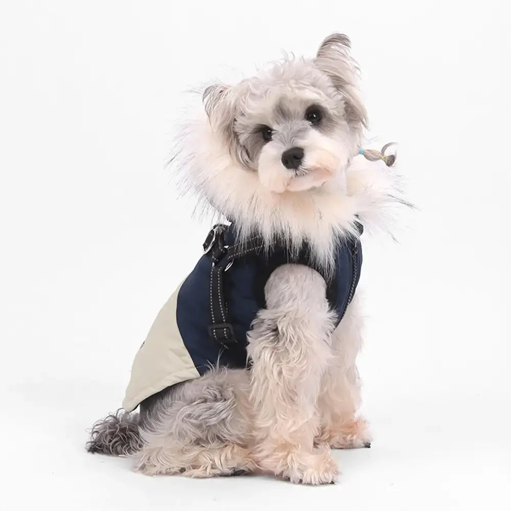Manteau chaud pour chien avec capuche en fourrure et boucle pour laisse