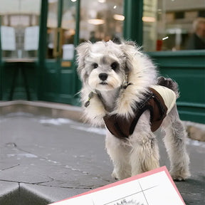 Manteau chaud pour chien avec capuche en fourrure et boucle pour laisse