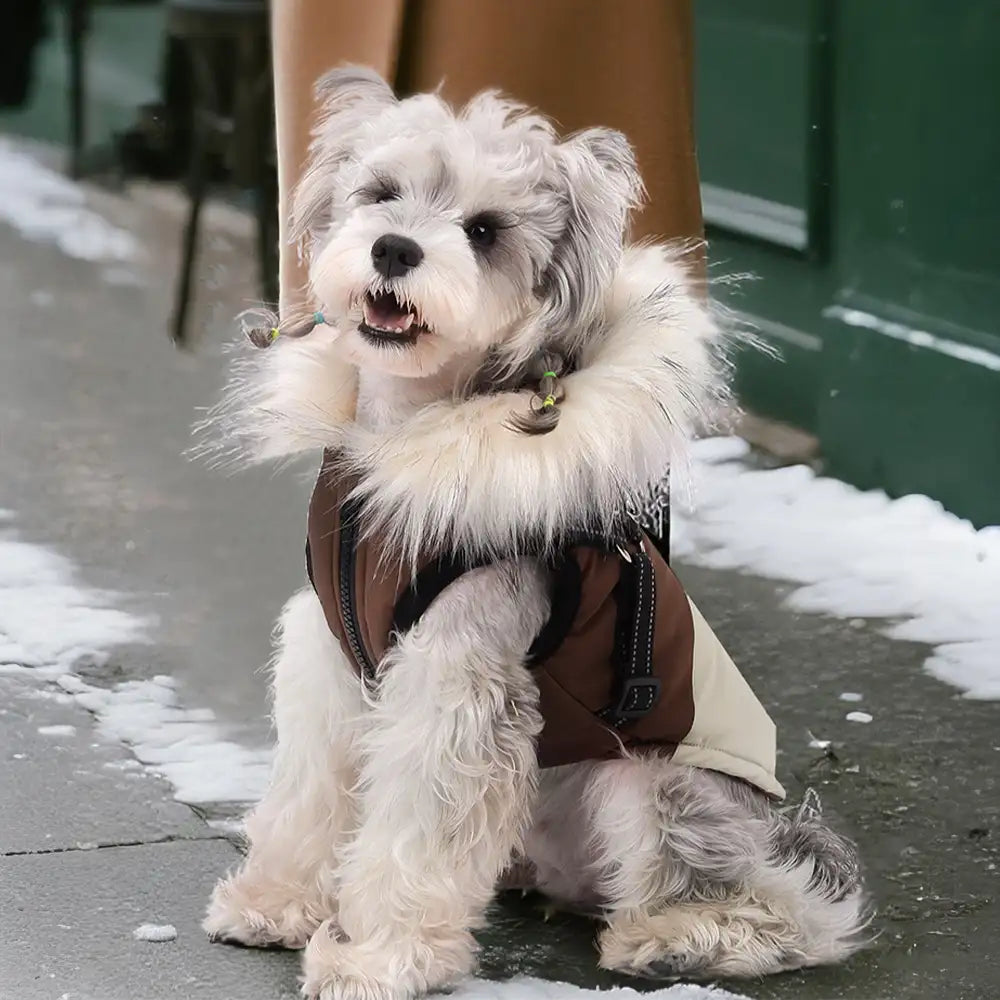 Manteau chaud pour chien avec capuche en fourrure et boucle pour laisse