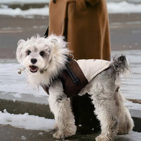 Manteau chaud pour chien avec capuche en fourrure et boucle pour laisse