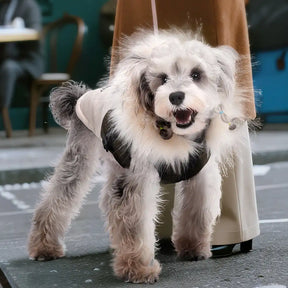 Manteau chaud pour chien avec capuche en fourrure et boucle pour laisse