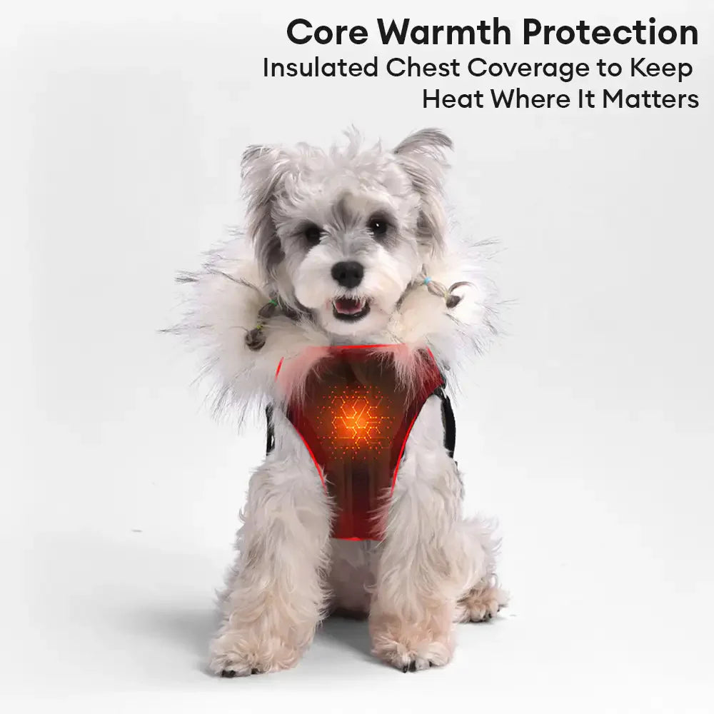 Manteau chaud pour chien avec capuche en fourrure et boucle pour laisse