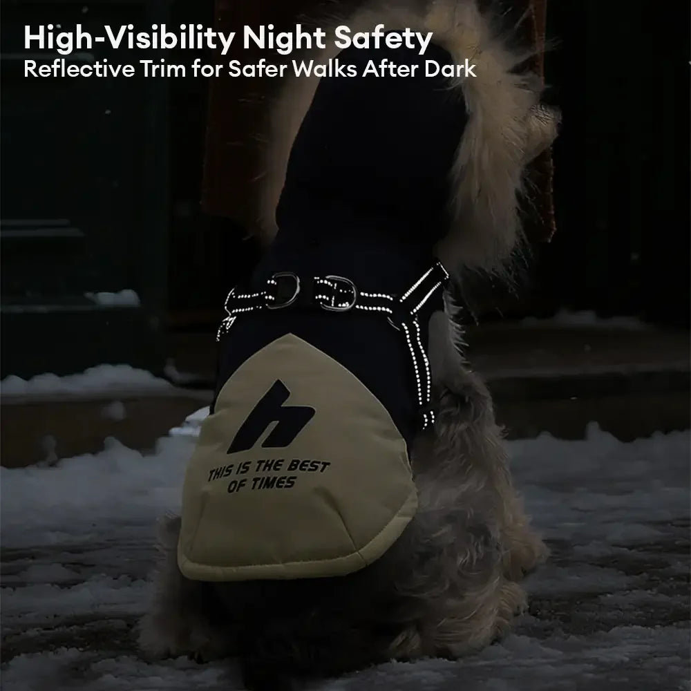 Manteau chaud pour chien avec capuche en fourrure et boucle pour laisse